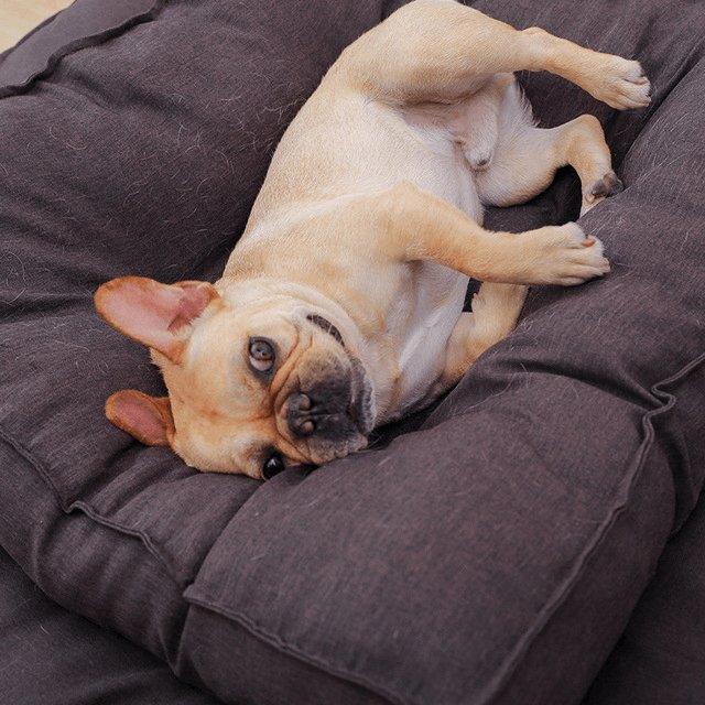 Cozy Canine Cushion - Brown Dog Pillow Bed-2