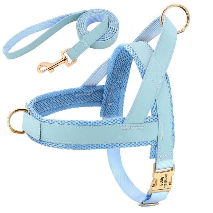 Customizable Pet Harness And Leash Set-2