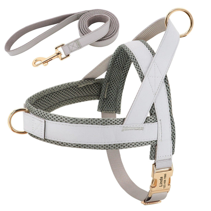 Customizable Pet Harness And Leash Set-1