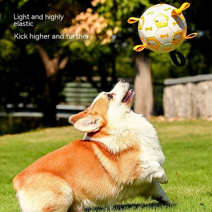 Interactive Dog Football – Durable, Sporty, & Bite-Resistant