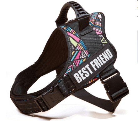 Explosafe Pet Leash: The Ultimate Safety Harness For Your Furry Friend-15