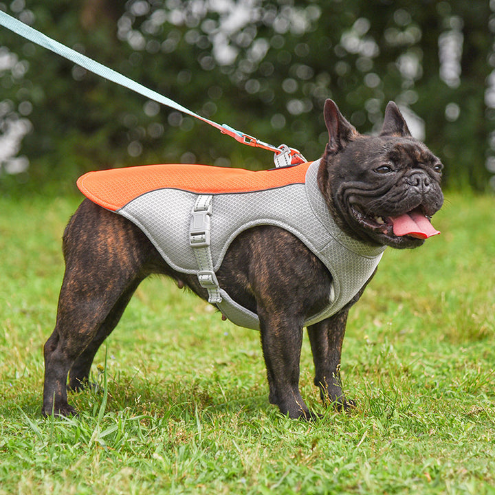 Summer Dog Cooling Vest – Breathable Outdoor Pet Jacket for Small & Medium Dogs | Lightweight Cooling Harness for Hot Weather